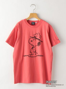 SHIPS KIDS:スヌーピー 半袖 TEE(145~160cm) SHIPS KIDS シップス カットソー キッズカットソー ピンク ホワイト グリーン ブルー【送料無料】[Rakuten Fashion]