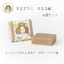 女王石鹸×4個 女王ボタニヘアシリーズ オーガニック 泡立て付き ヘンナ アカシア バラエキス アンマロク果実(アムラ)ツボクサ葉 アルニカ ビャクダン ローズ...