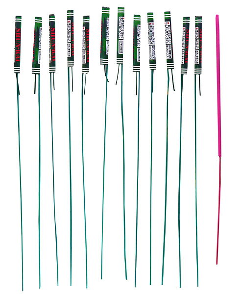 �� �������å�(12������)��10������۲ֲС��������פꡡ�ơ��롡�����������μ��񡡤Ϥʤ�