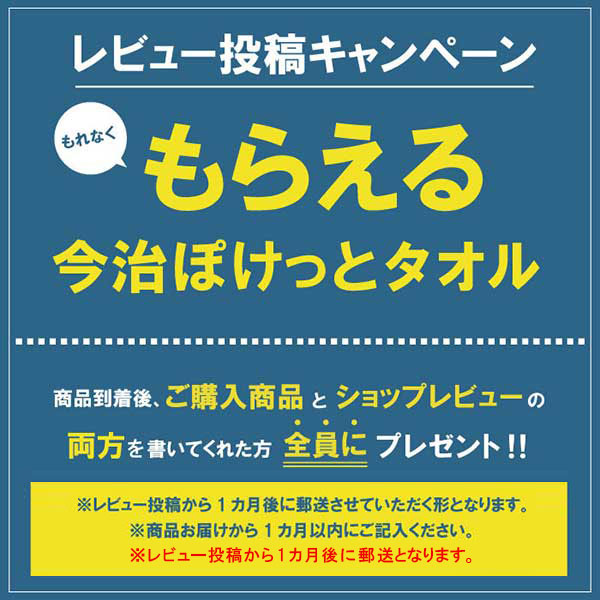 【送料無料】クレベリンスティック つめかえ用 1g×6本 大幸薬品 除菌