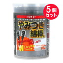 『5個セット』【送料無料】デルガードやみつき綿棒α 70本 DC-51 阿蘇製薬 衛生材料