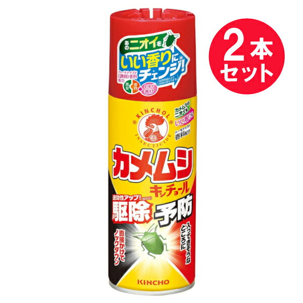 『2本セット』【送料無料】カメムシ キンチョールH 300mL 大日本除虫菊 殺虫剤