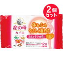 ●商品名命の母 カイロ 貼るタイプ●内容量10個　×2セット●商品説明貼るタイプ体も心もやさしく温める※2※2 桐灰カイロはる との製品温度の比較冷えが辛い女性に 約40℃※1※1 屋内使用時の肌表面温度よもぎ・生姜・肉桂3種の抽出成分配合香料を使用衣類に貼るカイロ・最高温度57℃※3・平均温度50℃※3・持続時間12時間※3※3 表示の最高温度・平均温度・持続時間は都条例にもとづく測定値ですので人体にてご使用の場合は若干の差異があります。●使用方法・使用直前に袋からカイロを取り出し、はく離シートをはがして肌に直接ふれないよう、もまずに衣類に貼って使用する。・貼る位置によっては、香りの感じ方が異なることがある。・カイロの表面をこすると、香り立ちが強くなる。※カイロや袋の内側に香料が白く付着していることがありますが、製品性能上問題はありません。開封後残ったカイロはこの袋に入れて保存し早めに使う。保存状態により、表示の持続時間に影響を与えることがある。[使用不可]就寝時こたつ・ふとんの中電気カーペットストーブ・暖房器具前●使用上の注意ご使用前に必ずお読みください。低温やけど防止のための注意・就寝時は使用しない。・布団の中や暖房器具の併用は高温になるため使用しない。・糖尿病など、温感および血行に障害のある方は使用しない。・幼児又は身体の不自由な方など本人の対応が困難な場合は保護者が注意する。・肌の弱い方は特に低温やけどに注意する。・肌に直接貼らない。・圧迫した状態で使用しない。・熱すぎると感じたときはすぐに使用を中止する。・万一やけどの症状があらわれた場合はすぐに使用を中止し、医師に相談する。香り成分についての注意・香りで気分が悪くなった場合は使用を中止する。・肌に異常を感じた場合は直ちに使用を中止し、医師に相談する。その他の注意・使用後は市区町村の区分に従って捨てる。・粘着剤で傷む衣類や高級な衣類には使用しない。・衣類よりはがすときは、不織布部をつままずに粘着剤のない部分に指を入れてゆっくりとはがす。・一部の保温性衣類では、カイロがつきにくいことがある。・小児、認知症の方などの誤食に注意する。・用途外には使用しない。●保存方法・直射日光をさけ、涼しい所に保存する。・小児、認知症の方などの手の届くところに置かない。※品質には万全を期していますが、万一不良品がありました場合にはお買上げの月日、店名をそえて発売元までお送りください。新しい製品とお取り替えします。なお、カイロ、袋も同封してください。●原材料名鉄粉、水、活性炭、吸水性樹脂、バーミキュライト、塩類、香料●商品情報品名：使いすてカイロ有効期限：商品枠外に表示サイズ：13cm×9.5cm（10個入）●生産国MADE IN JAPAN　日本製●メーカー小林製薬株式会社住所：大阪市中央区道修町4-4-10●JAN4901548603844●関連ワード命の母 カイロ 使い捨て 貼る 温かい 香料 生姜 よもぎ 肉桂 衣類 40℃ 香り 冷え性 12時間持続 【広告文責】白石薬品株式会社TEL:072-622-8820※リニューアルに伴い、パッケージ・内容等予告なく変更する場合がございます。予めご了承ください。