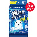 ●商品名アイスノン 極冷えボディシート●内容量30枚入　×5セット●商品説明しっかりふき取れる大判タイプお肌スッキリ！全身キンキンリフレッシュ！ミントの香り◎スポーツの後に◎オフィスや会社で◎レジャーやフェスにふき取り用化粧水ボディ用～特長～極冷えシートが汗・べたつき・ニオイの元をすっきりふき取る。圧倒的なクール感を全身で実感！冷え過ぎ注意＊クール成分（メントール）高配合。強力なクール感と爽快感が持続。＊1枚で全身スッキリ！ ふきやすい厚手の大判シート。（25×20cm）ふいている最中、シートが丸まりにくい。※説明書きをよく読みご使用ください。●サイズ（mm）25×20cm ※シートサイズ●使用方法表面のシールをOPENのところから開け、1枚ずつ取り出してお使いください。※使用後は下記イラストを参考に、シール接着面のシワをのばしてから、シールをきちんと閉める。※乾燥による品質の劣化を防ぐため、開封後はなるべく早めに使いきる。※カバンの中などで強く押されると、液がしみ出る場合がある。シールの閉め方1．中の空気を押し出しながら、シール接着面のシワをのばす。2．シールをしっかり密着させる。●使用上の注意・メントールの冷感刺激に弱い方、アルコール過敏症の方、特に肌の弱い方、乳幼児は使わない。・傷、はれもの、湿疹等異常のあるところ、顔、粘膜、除毛直後には使わない。・肌に異常が生じていないかよく注意して使う。肌に合わない時、使用中に赤み、はれ、かゆみ、刺激、色抜け（白斑等）や黒ずみ等の異常が出た時、直射日光があたって同様の異常が出た時は使用を中止し、皮フ科医へ相談する。使い続けると症状が悪化することがある。・シートは水に溶けないので、トイレ等に流さない。・家具、床、電気製品等をふかない。・火気に注意する。・用途以外には使用しない。・目に入った時は、すぐに充分洗い流す。・乳幼児の手の届かない所に保管する。・直射日光のあたる所、高温になる所には置かない。●成分水、エタノール、メントール、チャ葉エキス、エチルヘキサン酸セチル、PEG‐40水添ヒマシ油、タルク、香料、ベンザルコニウムクロリド、フェノキシエタノール、メチルパラベン、リン酸Na●生産国MADE IN CHINA 中国製●製造販売元白元アース株式会社住所：和歌山県和歌山市小雑賀1-1-27●JAN4902407024633●関連ワードメンズ ボディシート デオドラント さらさら パウダー 汗 汗拭きシート 汗ふきシート スポーツ レジャー 臭い ベタつき 拭き取り シート ボディ用 大きめ ボディケア 拭くだけ さらさらパウダー べタつき リフレッシュ 【広告文責】白石薬品株式会社TEL:072-622-8820※リニューアルに伴い、パッケージ・内容等予告なく変更する場合がございます。予めご了承ください。