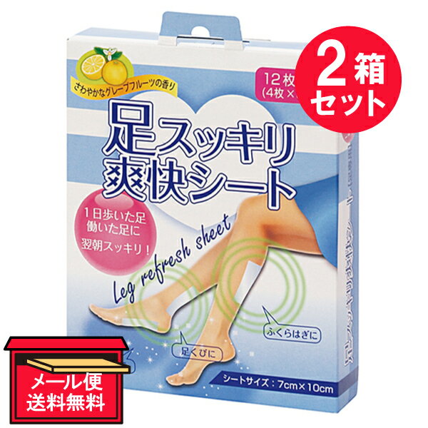 『2箱セット』【メール便 送料無料】足スッキリ爽快シート（足専用） 12枚（4枚×3袋） 白金製薬 フットケア