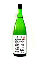 日本酒 亀泉 純米吟醸 CEL24 1800ml - 亀泉酒造