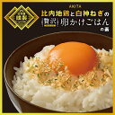 【送料無料】比内地鶏と白神ねぎの贅沢卵かけごはんの素 2袋（1袋／23g入）［常温］1000円ポッキリ 卵かけ TKG ふりかけ グルメ食品 産直 秋田 能代 ご当地 産地直送 ［あきた白神ツーリズム］（クリックポスト便）