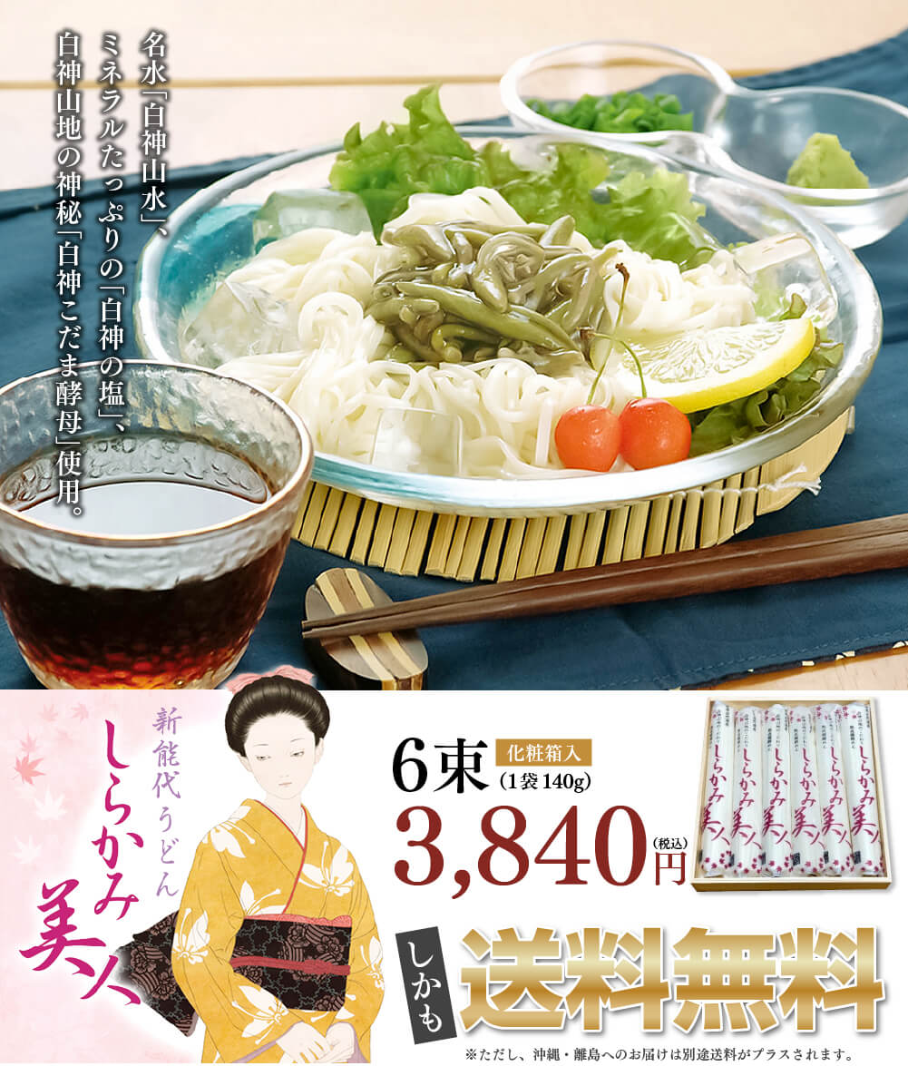 なべや製麺 しらかみ美人140g×6束（化粧箱入り）［常温／うどん］ 送料無料　ご当地　乾麺 贈答 ギフト 秋田 ［あきた白神ツーリズム］ 2