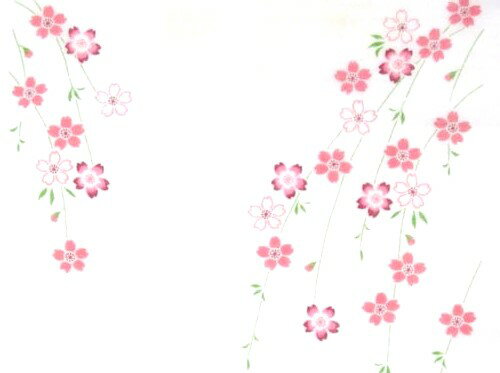 日本製　和風布物　日本はんかち　ガーゼタオル優しい　ガーゼはんかち　満開桜