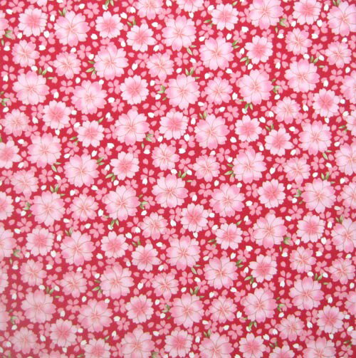 ߡβФ㤨ʪ(ʥվϤߡϤ󤫤ϥ󥫥ȬźֿפβǤʤ440ߤˤʤޤ