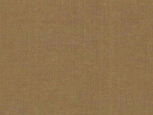 ʡ�������������ʡ���α��峵�α��峡ʤ������ȿʪ���ꡡ1m���å���̵�ϡ��١����忧