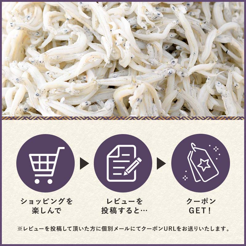 農林水産大臣賞受賞生炊きしらす60g【しらす佃煮減塩愛知県シラスちりめんじゃこちりめんつくだに佃煮お試し生炊きしらす贈り物愛知県愛知ギフトお土産お取り寄せグルメお取り寄せ佃煮お歳暮ギフト】