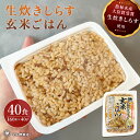 生炊きしらすレトルトご飯 40個入 