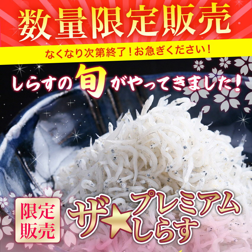 【送料無料】※北海道、沖縄県を除く ザ☆プレミアムしらす 1kg | しらす シラス ご飯のお供 お取り寄せ おつまみ 酒の肴 ごはんのおとも つまみ グルメ ギフト 食品 食べ物 ごはんのお供 お中元 おかず しらす丼 (釜揚げしらす特急便) 【期間限定】