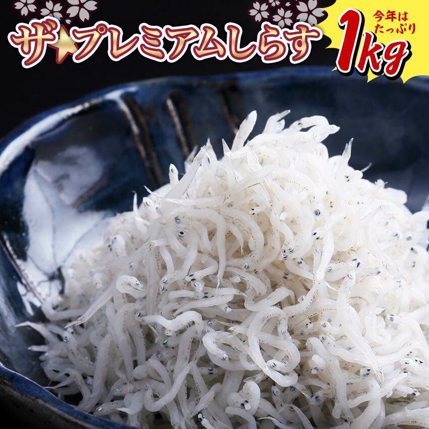 【送料無料】※北海道、沖縄県を除く ザ☆プレミアムしらす 1kg | しらす シラス ご飯のお供 お取り寄せ おつまみ 酒の肴 ごはんのおとも つまみ グルメ ギフト 食品 食べ物 ごはんのお供 しらす丼 海の幸 おかず しらす丼 (釜揚げしらす特急便) 【期間限定】