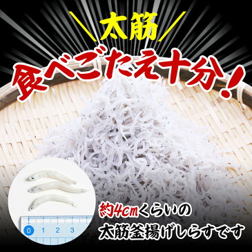太筋 釜揚げしらす1Kg | しらす 釜揚げしらす ボリューム 大容量 シラス ご飯のお供 お取り寄せ おつまみ 酒の肴 ごはんのおとも ごはんのお供 食品 つまみ 取り寄せ グルメ ギフト プレゼント ご飯のおとも おにぎり 具 魚介類 家飲み お中元 御中元 敬老の日 ご飯 おかず