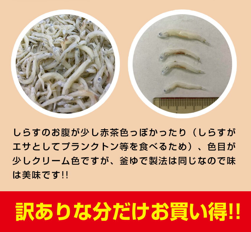 【送料無料】※北海道、沖縄県を除く訳ありメガ盛り 釜揚げしらす1kg | のし しらす シラス ご飯のお供 お取り寄せ おつまみ 酒の肴 ごはんのおとも ごはんのお供 食品 つまみ グルメ ギフト 離乳食 おにぎり お返し お礼 御礼 食べ物 ご飯のおかず 立秋 敬老の日 ハロウィン