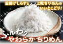 【送料無料】【しらす】ふんわりやわらかちりめん1kg【送料無料】【smtb-k】【w1】【楽ギフ_包装】【楽ギフ_のし】