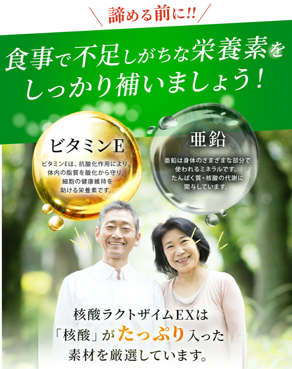 核酸ラクトザイムEX 1袋［120粒入（30日分目安）］ 栄養機能食品 ビタミンE 亜鉛 核酸 DNA RNA 乳酸菌 酵素(64種野草発酵エキス) フェンファイバー(食物繊維) 日本国内GMP認定工場製造 shiratori-wellpharma-10000002 白鳥ウェルファーマ楽天市場店 サンプル画像3