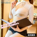 コスプレ セクシー 家庭教師 3点セット 女教師 OL 秘書 ミニスカ ランジェリー ホワイト【大人用 レディース コスチューム コスプレ ブラ ショーツ ミニスカート 衣装 ホルターネック ブラウス 露出 アダルト 撮影会 レディース イメージプレイ あす楽】
