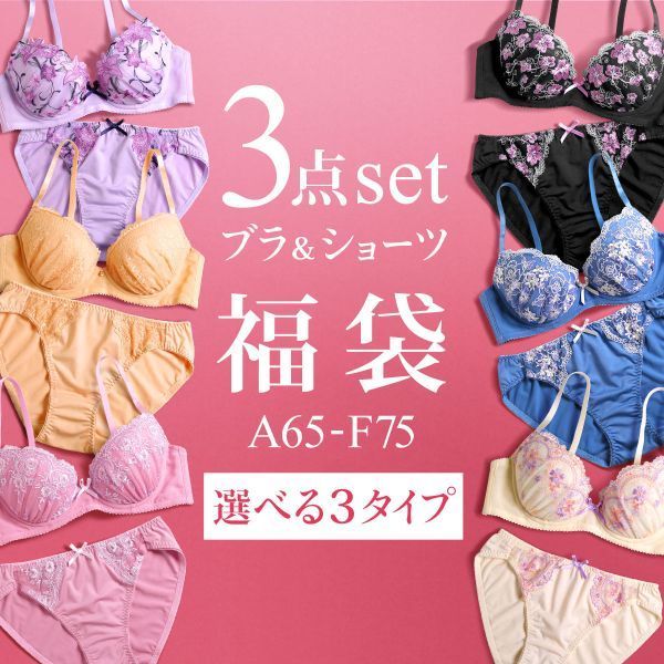 27％OFF【送料無料】 ブラジャー ショーツ セット 3点 福袋 フェミニンタイプ おまかせ 刺繍レース3点セット 下着 レディース インナー ブラ ブラセット ブラショーツ 上下セット セットアップ 安い プチプラ かわいい おしゃれ まとめ買い 買い替え