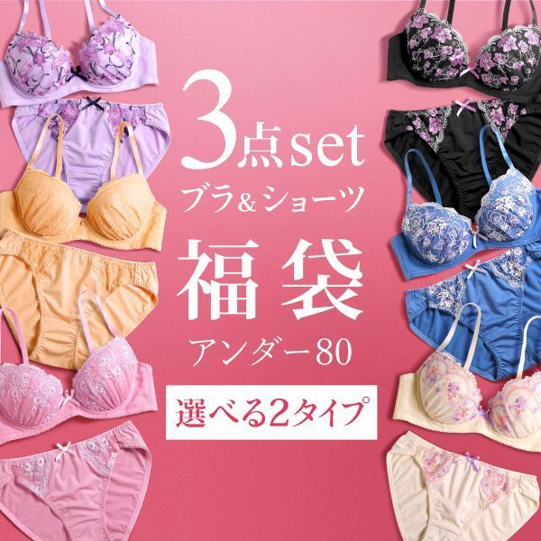 21％OFF【送料無料】 ブラジャー ショーツ 3点セット 福袋 選べる2タイプ おまかせ 刺繍レース おしゃれ シンプル B80 C80 D80 E80 F80 3点セット アンダー80 アンダー大きいサイズ アンダー80…