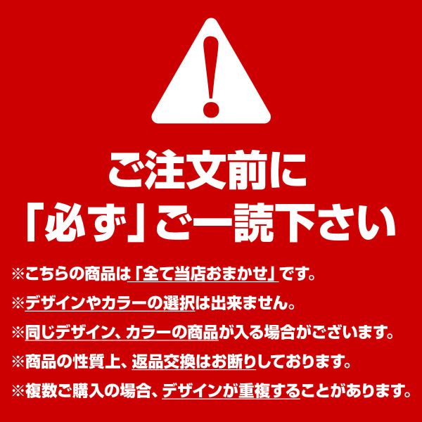 【メール便(30)】【送料無料】 おまかせ トリコット ショーツ 10枚セット レディース 大きいサイズ LL 福袋