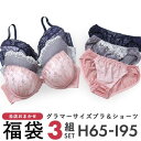 グラマーサイズ お買得 おまかせ ブラ＆ショーツ 3組セット Hカップ レディース [ 大きいサイズ アンダー100まで ] H65-I95