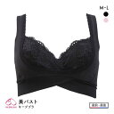 犬印 INUJIRUSHI 美バストキープブラ マタニティブラジャー ML 産前産後兼用 ブラ ハーフトップ 全2色 M-L