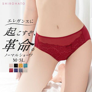 【20%OFF・お買い物マラソン】【メール便(4)】 モードマリー Mode Marie×SHIROHATO 超脇肉革命 スタンダード ショーツ M L LL 3L レース 単品 大きいサイズ レディース セクシー 赤 黒 全8色 M-3L ev_sp