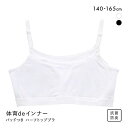  体育deインナー ブラジャー ジュニア キッズ 女の子 ハーフトップ ノンワイヤー ソフトパッド付き さらさらフィット 綿混 全2色 140-165