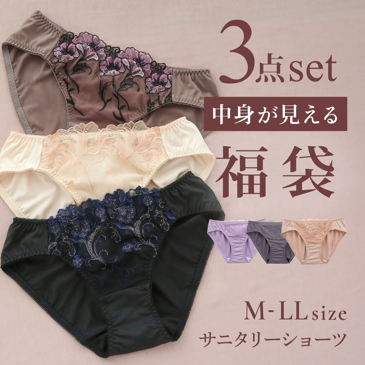 【メール便(30)】【送料無料】 選べる2タイプ サニタリーショーツ 福袋 3枚セット 刺繍レース＆ワントーンレース レディース 生理用ショーツ 普通の日用 軽い日用 M L LL レディース 生理 ショーツ パンツ 羽付き 3枚組 まとめ買い 買い替え おしゃれ おすすめ 中 全2色 M-LL