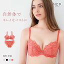 モンシェルピジョン Mon cher pigeon パイエット paillette 自然体の着け心地 ブラジャー ショーツ セット BCDE 脇高 脇肉 [ 下着 レディース ブラ＆ショーツ ブラ ブラセット ブラショーツ 上下セット 30代 40代 楽 つけ心地 ] 全4色 B70-M-E90-3L ev_sp