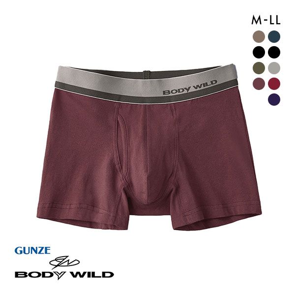 20OFFڥ᡼(15)̵ۡ  GUNZE ܥǥ磻 BODYWILD ܥѥ   ˥ååȥ BWL285A 9 M-LL