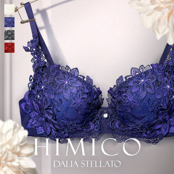 40OFF HIMICO 񂾋CɎW߂ Dalia Stellato uW[ BCDEF 006series Pi  fB[X u ZNV[   킢  l   LL S4F B65-F80