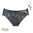 15％OFF【メール便(5)】 ウイング Wing 