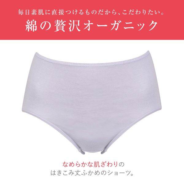 15％OFF【メール便(4)】 ワコール Wacoal ウイング Wing 綿の贅沢オーガニック シ...