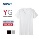 10％OFF グンゼ GUNZE ワイジー YG コットン100％ Vネック Tシャツ メンズ 定番 ベーシック オールシーズン 全3色 M-3L