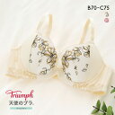 57%OFF トリンプ Triumph TR554 天使のブラ スリムライン ブラジャー BC 単品 レディース 全2色 B70-C75