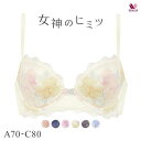 ワコール Wacoal 女神のヒミツ BRB476 ブラジャー ABC 単品 レディース 全6色 A70-C80 ev_sp