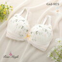 30％OFF リサマリ Risa Magli パンナ 3/4カップ ブラジャー GH 単品 大きいサイズ レディース 全3色 G65-H75