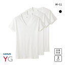 20%OFF グンゼ GUNZE ワイジー YG コットン100% Vネック Tシャツ メンズ 定番 ベーシック オールシーズン 三枚組 全2色 M-LL