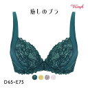 57%OFF トリンプ Triumph TR571 癒しのブラ ブラジャー DE 単品 レディース 全4色 D65-E75