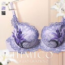 【50%OFF・5/16 09:59まで】 HIMICO ヒミコ ブラジャー 大きいサイズ アンダー80 B C D E F 単品 015series ランジェ...