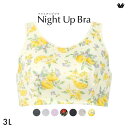 15％OFF【メール便(10)】 ワコール Wacoal ナイトアップブラ Night Up Bra ナイトブラ ブラジャー BRA164 おやすみブラ 夜用ブラ 3L レディース 全7色