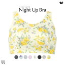 15％OFF【メール便(10)】 ワコール Wacoal ナイトアップブラ Night Up Bra ナイトブラ ブラジャー BRA164 おやすみブラ 夜用ブラ LL レディース 全8色