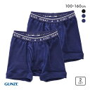 30%OFF【メール便(30)】 グンゼ GUNZE キッズ ジュニア 無地 ボクサーパンツ 2枚組 男児 子供肌着 綿100% 100-160 全3色 100...