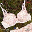 37%OFF トリンプ Triumph TR580 天使のブラ 魔法のハリ感 ノンワイヤー ブラジャー BC 単品 レディース 全2色 B70-C80
