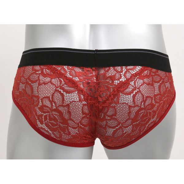 ���۵ޡ�����400�ߥ����ݥ����ۡ��ڥ᡼����(10)�� NEW SENSATION ���졼�� �ӥ��� �֥꡼�� �ե�Хå� M L LL ��� �ѥ�� �����ȥ��� ������������� �������롼 ���硼�� ����� �졼�� ��4�� M-LL