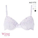 15％OFF ワコール Wacoal ウイング Wing teen 成長期のバストにフィット STEP3 ジュニアブラジャー ABCDEF ジュニア 女の子 単品 レディース 全5色 A65-F75